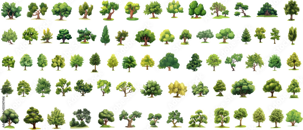 Fototapeta premium Hand drawn landscaping tree, hand drawn tree illustration