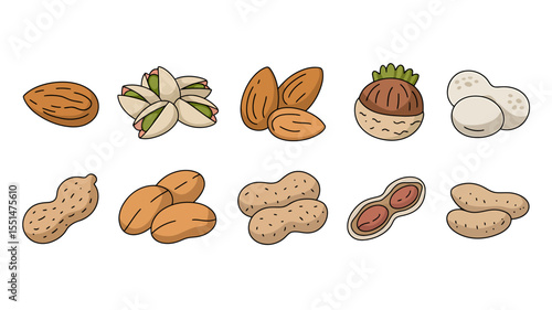 A Set of 10 Hand-Drawn Nut Illustrations Almonds, Pistachios, Hazelnuts, and Peanuts