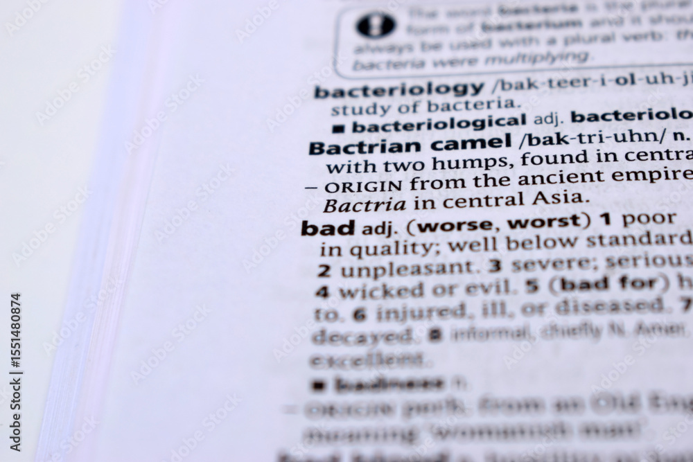 Obraz premium English Definition Dictionary Page Of Printed Word - Bad Close Up