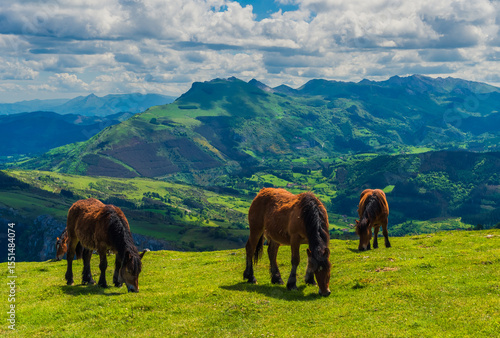 Tranquilidad con vista al valle