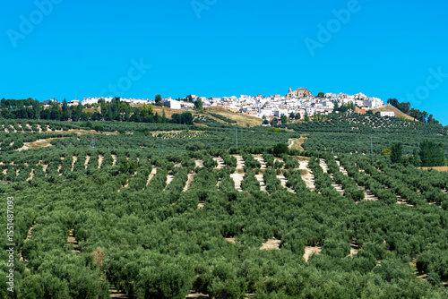 Villacarrillo, Villanueva