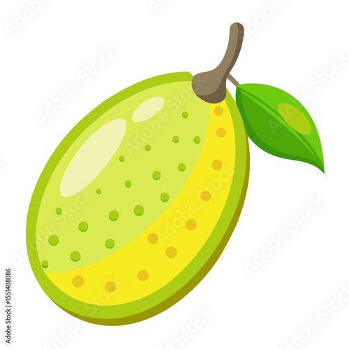 Modern Finger Lime Vector Art with a Clean Design