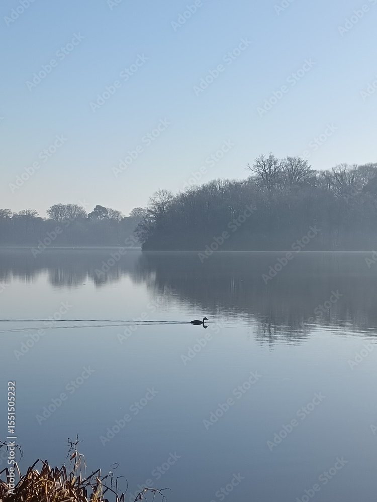 Fototapeta premium fog on the lake