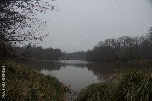 morning on the river
