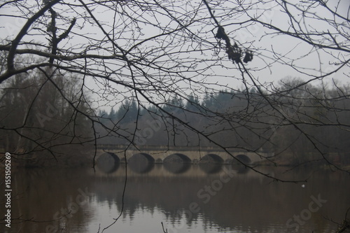 Bridge over the lake