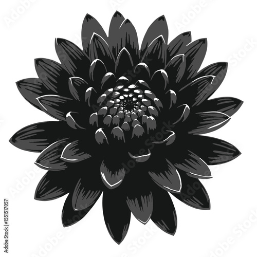 Black Silhouette Delphinium Flower Vector with Tall Stem and Layered Blossoms on White Background Full HD