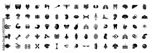 set of human organ glyph icons, black silhouette vector illustrations for anatomy, medical diagrams and biology education
