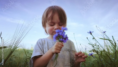 cute little boy in a wheat field in the summer, smelling the wildflowers and admiring their beauty. small child in a field with flowers. cute boy is looking at blue wildflowers.