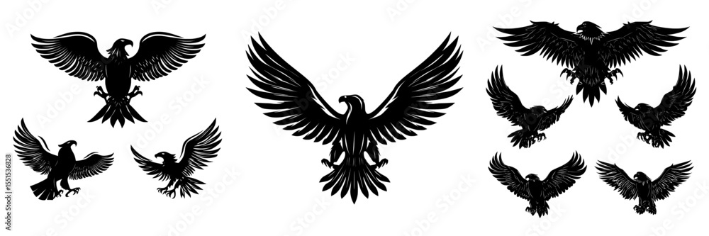 The image features a black eagle, falcons, and hawks with their wings spread, all isolated on a white backdrop The image features a black eagle, falcons, and hawks with their wings spread, all isolated on a white backdrop