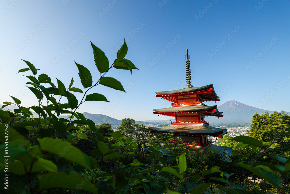 Obraz premium Leaves from a tree in front of the Chureito Pagoda overlooking Mount Fuji on a sunny and clear morning in Fujiyoshida, Japan.