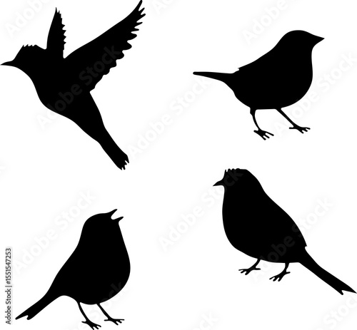  bird silhouette 