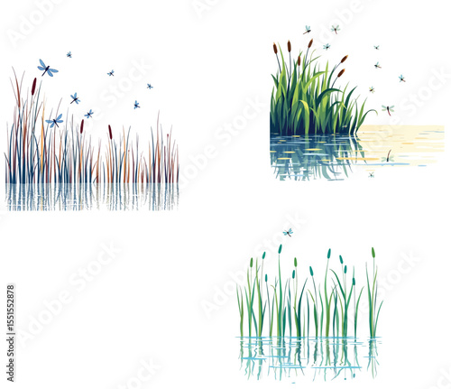 Vsai dragonflies flying over lush green reeds growing in water