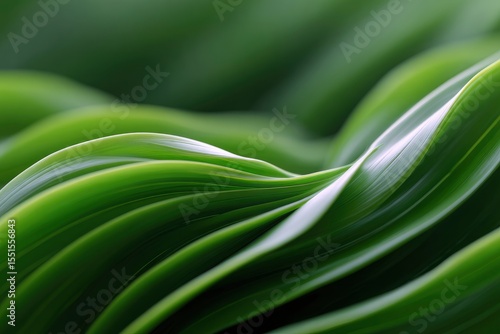 Smooth curving green leaves overlap creating a wavelike pattern Bright highlights accentuate the texture