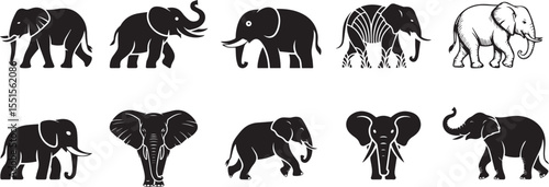 Set of elephants black vector silhouette icon set collections