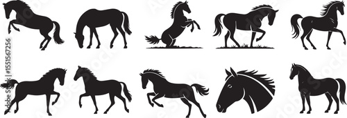 Set of horses black silhouette vector illustration icon set collections
