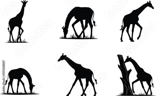Six creative giraffe silhouette vector variations showing grazing, walking, and standing behavior in wild
