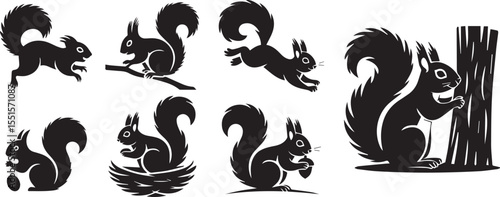 Silhouette set of squirrel black vector illustration collection