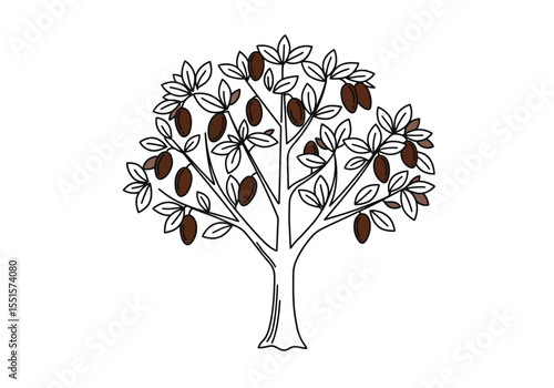 Chocolate tree drawing. It is a vector sketch line art drawing of a cacao tree with pods and leaves. Vector sketch line art draw.