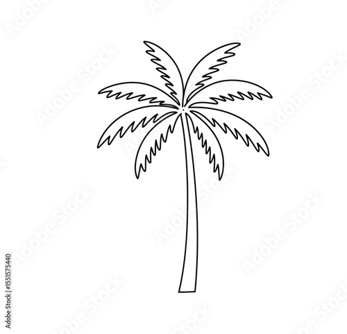 Palm tree drawing. It is a vector sketch line art drawing of a palm tree with characteristic fanned leaves, symbolizing tropical beaches and warm climates. Vector sketch line art draw.