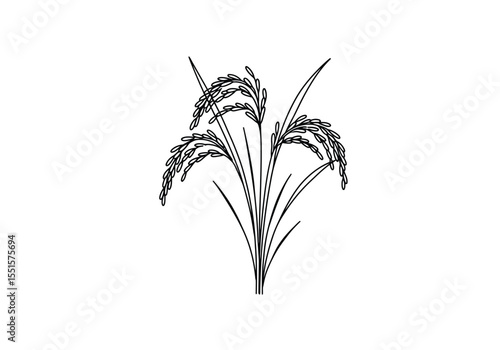 Rice tree drawing. It is a vector sketch line art drawing of a rice plant with mature grains, symbolizing agriculture and harvest. Vector sketch line art draw.