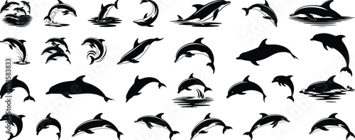 Dolphin silhouette vector set, collection of multiple dolphin jumping and swimming pose icon in black isolated style