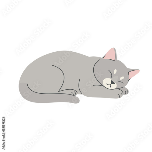 Cute Gray Cat in a Peaceful Sleeping Pose.