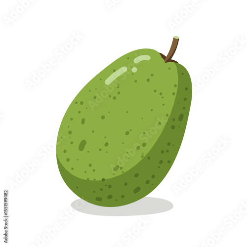 Single Green Avocado with Speckled Skin and Stem.