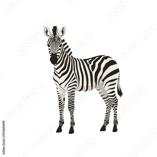 Plains Zebra Standing Profile Striking Black and White Stripes.