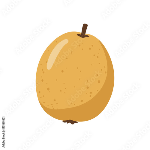Single Golden-Yellow Sapodilla Fruit Illustration.