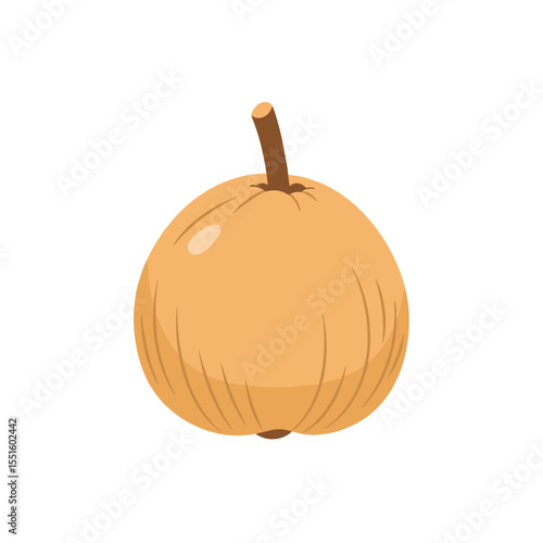 Cartoonish Illustration of a Santol Fruit with Brown Stem and Lines.