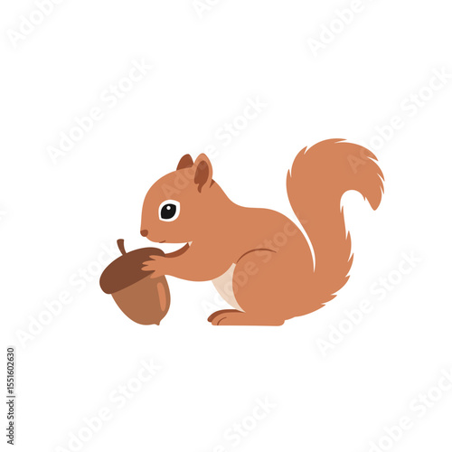 Adorable Red Squirrel Holding an Acorn Side Profile View.