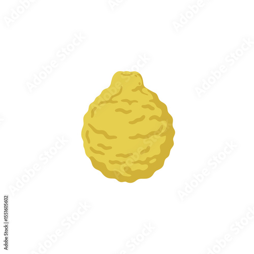 Detailed Illustration of a Single Wrinkled Yellow Citrus Fruit.