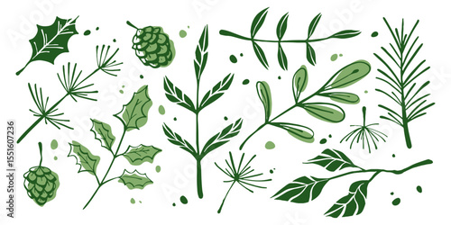 Green winter foliage set with pine needles, holly leaves and branch elements - pinecone, evergreen sprigs, festive botanical decorations for Christmas design. Natural forest plants of conifer twigs