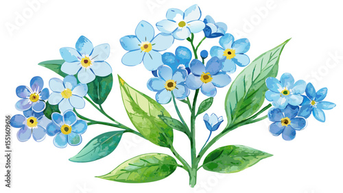 Delicate watercolor forget-me-nots bloom gently beside soft green leaves. Their petals shimmer with serenity. Floating on a clean white background, this floral illustration brings peace, nature, and g
