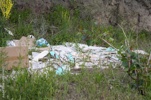 Fotografie Overgrown wild thicket embraces forgotten debris, echoing Earth Day's call to re