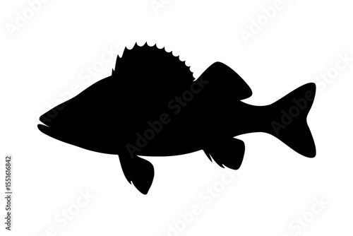 Black Silhouette of Perch Fish with Jagged Dorsal Fin Against White Background