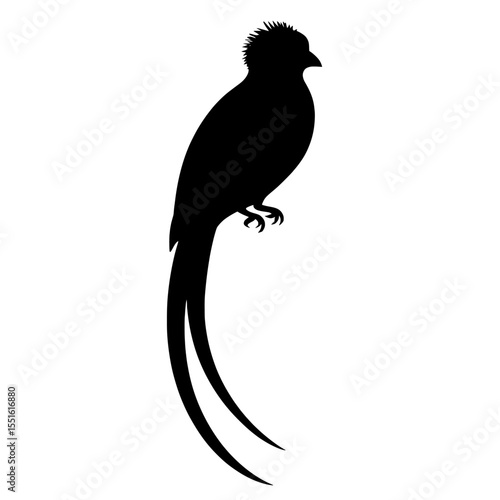 Elegant Silhouette of a Quetzal with Long Tail Feathers