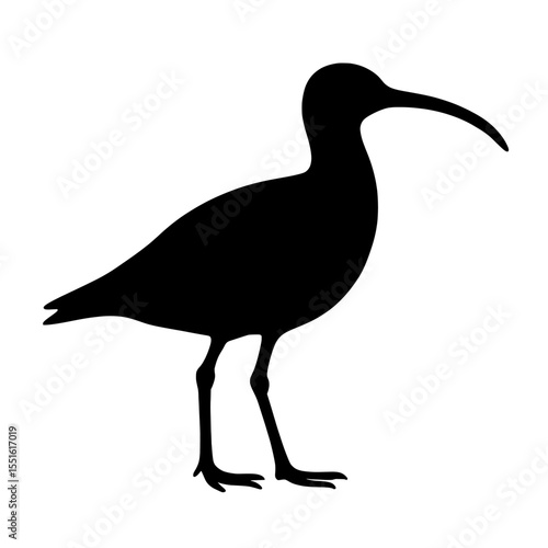 Silhouette of Whimbrel Bird with Distinct Curved Beak on White Background