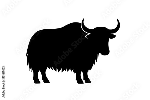 Silhouette of a Majestic Yak with Curved Horns and Shaggy Coat