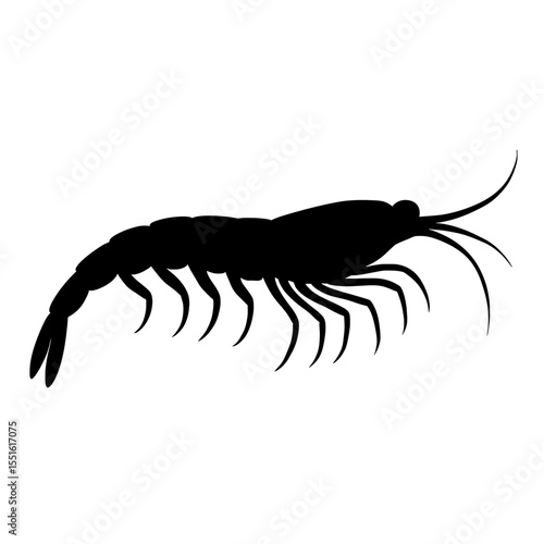 Silhouette of a Krill with Delicate Legs and Antennae on White Background