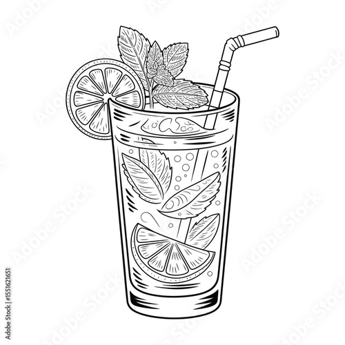 Mojito drink vector with mint and lime on isolated black and white background