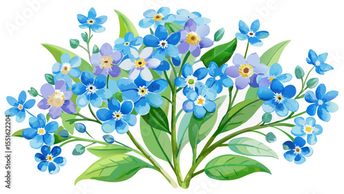 Hand-painted watercolor forget-me-nots with fresh green leaves rest quietly on a white background. Their organic beauty and harmonious colors speak of simplicity, elegance, and the poetry of botanical