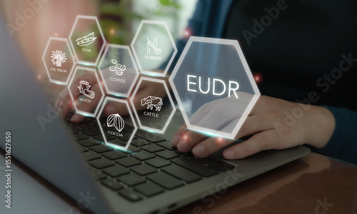 Implementation of the EU Deforestation Regulation (EUDR) concept. Using laptop with icons of regulated commodities; oil palm, soya, wood, cocoa, coffee, cattle, rubber. Traceability, sustainability.
