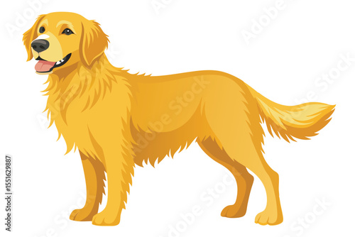 Golden Retriever Illustration The Epitome of Canine Companionship and Charm Depicting Loyalty Beauty and Grace in the World of Beloved Dog Breeds