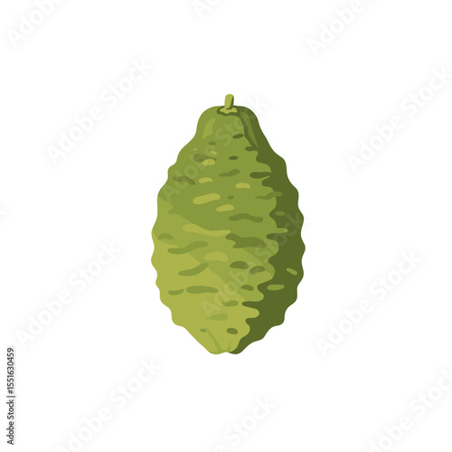 Textured Green Fruit with Unique Shape and Subtle Shadowing.