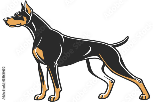 Elegant Doberman Pinscher with Striking Black and Tan Coat Graceful Canine Portrait Emphasizing Breed Standard Aesthetic Sharp Details
