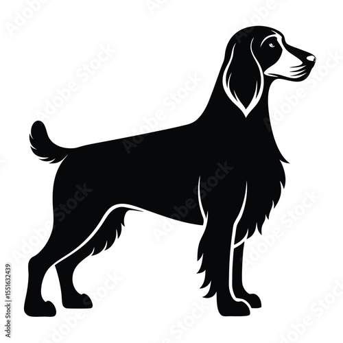 Elegant English Setter Illustration Full Body Silhouette with Smooth Lines and Detailed Fur Texture Showing a Graceful Dog