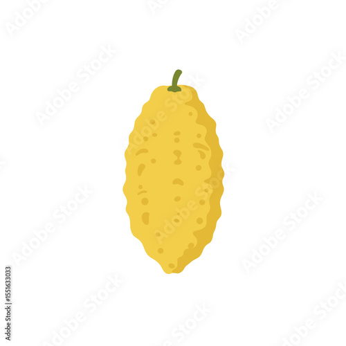 Detailed Illustration of a Single Etrog Fruit.