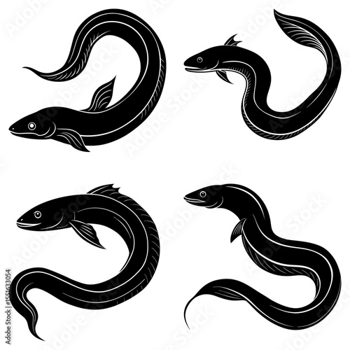 Four eels swimming in different positions isolated on white background