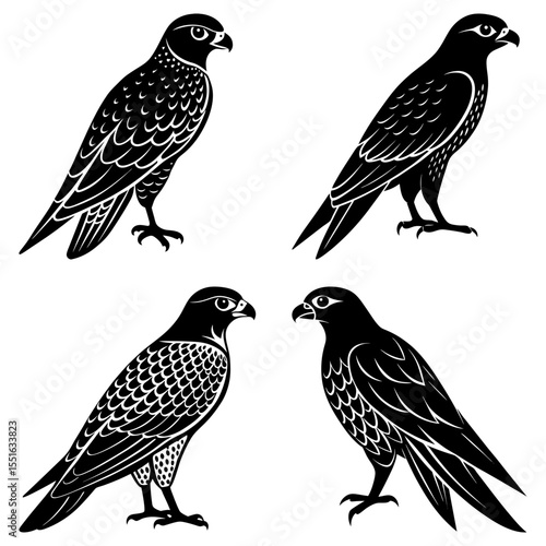 Four falcon silhouettes stand isolated on white background in graphic art